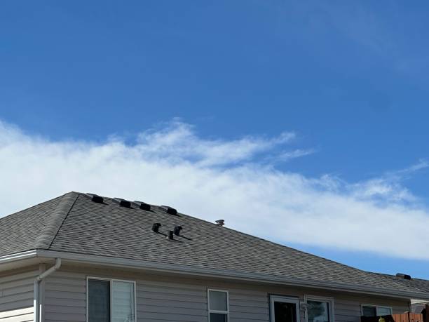 Best Asphalt Shingle Roofing  in Greenwood, PA